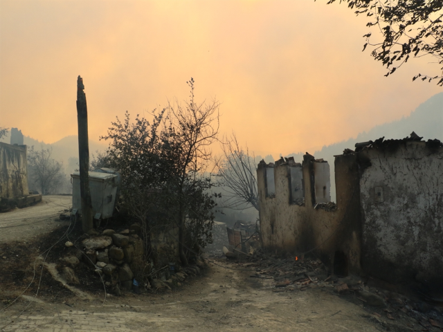 Alevlerle mücadele devam ediyor! İşte orman yangınlarında son durum