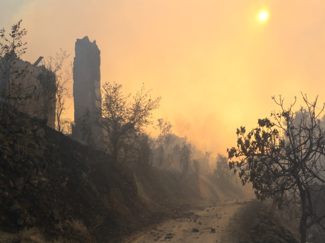 Alevlerle mücadele devam ediyor! İşte orman yangınlarında son durum