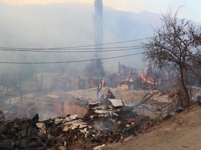 Alevlerle mücadele devam ediyor! İşte orman yangınlarında son durum