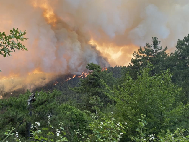 Sakarya'daki orman yangını Bilecik'e sıçradı! Köyler boşaltıldı, asker sahaya indi