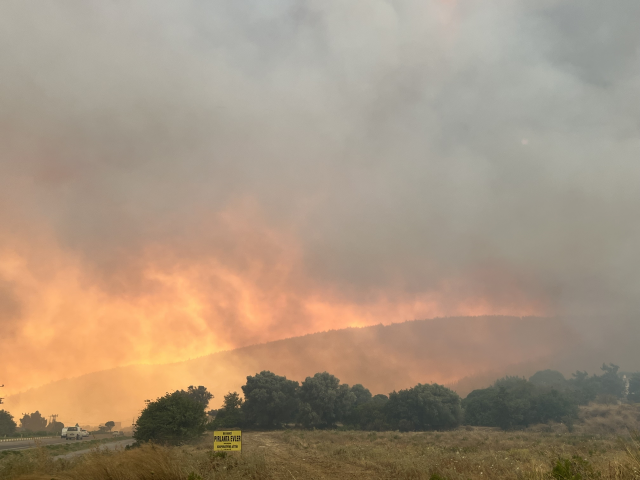 Seferihisar'da alevler evlere yaklaştı! 1 mahalle tahliye edildi