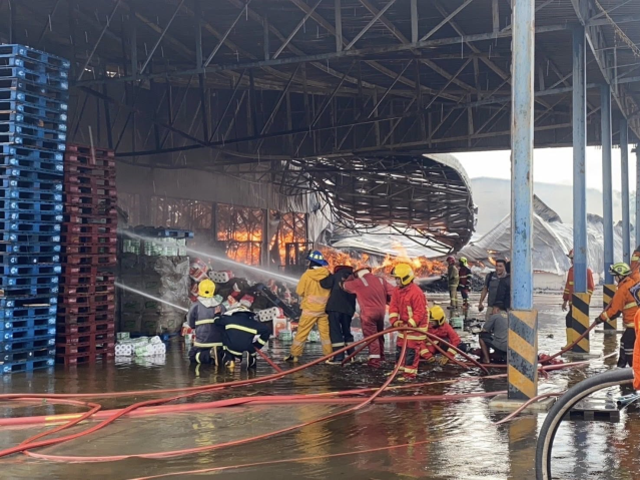 Tayland'da kağıt fabrikasında yangın: 8 ölü, 26 yaralı