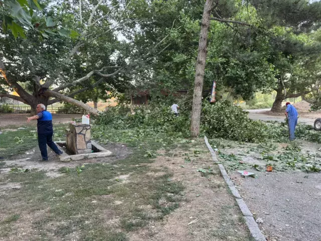 Kırılan ağaç dalı aynı aileden 11 kişiyi hastanelik etti