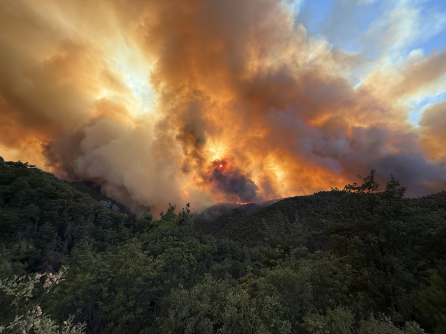 Sakarya'daki orman yangının boyutu yolcu uçağından böyle görüntülendi