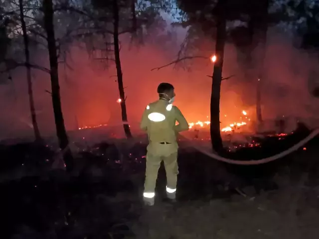 Sakarya yangını 15 saattir sürüyor! Alevlerin içinden yürekleri dağlayan çığlıklar