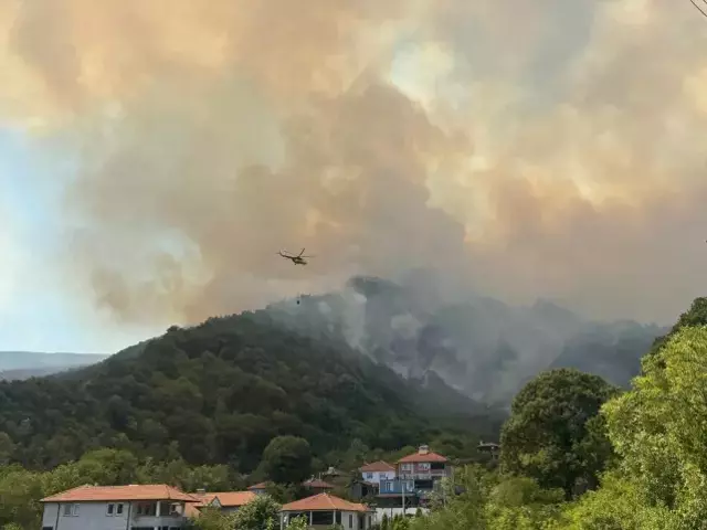 Sakarya'da yeni orman yangını! Karayolu ulaşıma kapatıldı