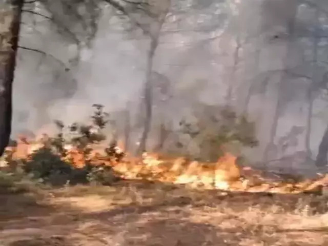 Türkiye'yi alevler kuşattı! Dört bir yan yangın yeri