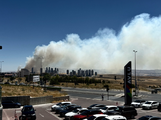 Ankara'da orman yangını