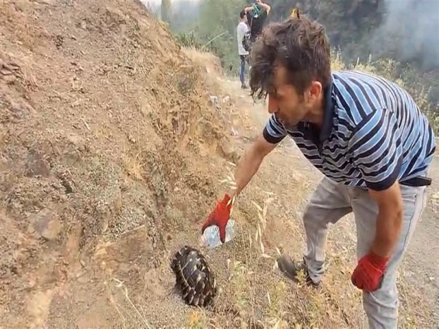 Bursa alevlere teslim! Yangın bölgesinden bir acı haber daha geldi
