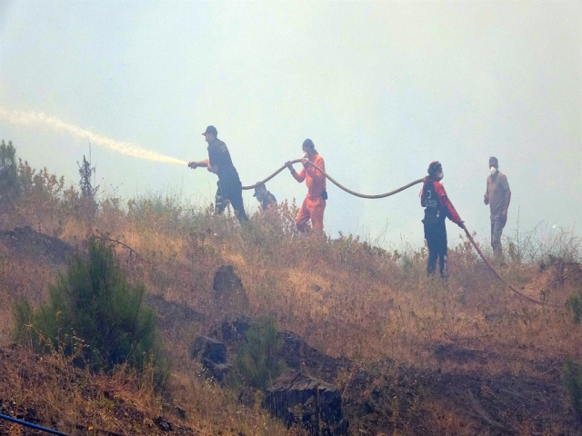 Bursa alevlere teslim! Yangın bölgesinden bir acı haber daha geldi