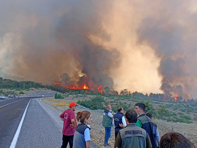 3 gündür yanan Bursa'da sabotaj şüphesi! Belediye başkanından dikkat çeken sözler