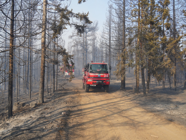 Çankırı'daki Orman Yangınında İkindi Namazı Araç Üzerinde Kılındı