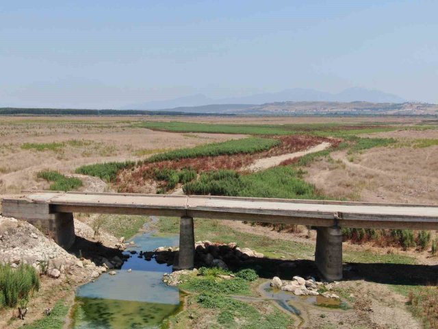 Yemek üretim tesisinde skandal! Yüzlerce kişiyi hastanelik edeceklerdi