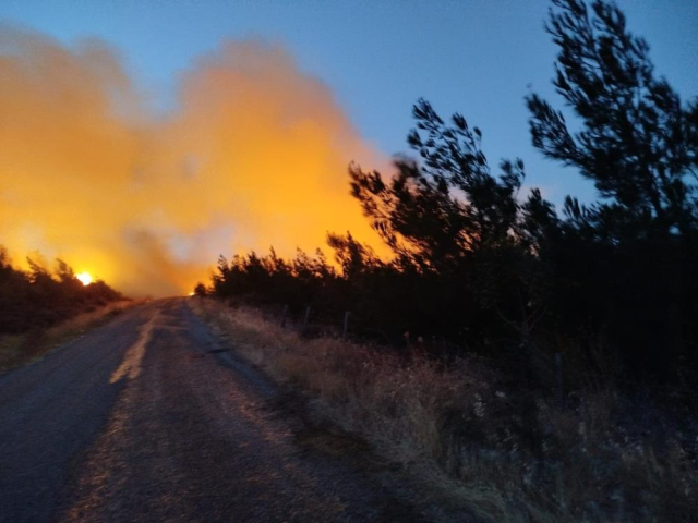 Çanakkale'de orman yangını sürüyor! 5 köy boşaltıldı, çok sayıda ev alevlere teslim oldu