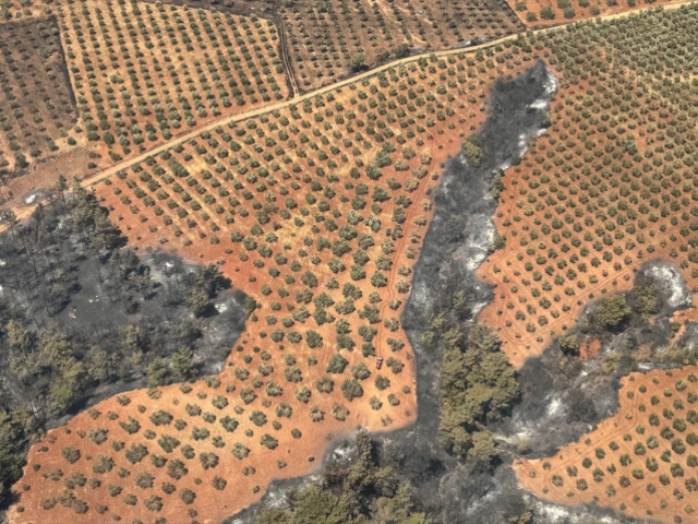 Çanakkale'deki orman yangınları kontrol altına alındı