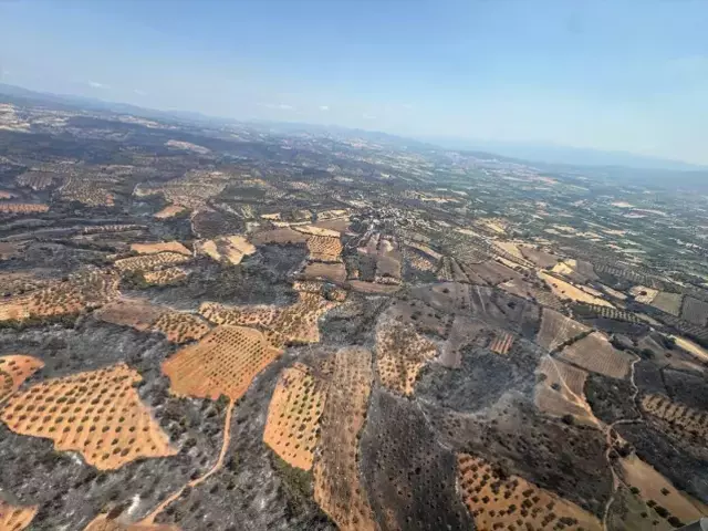 Çanakkale'deki orman yangınları kontrol altına alındı