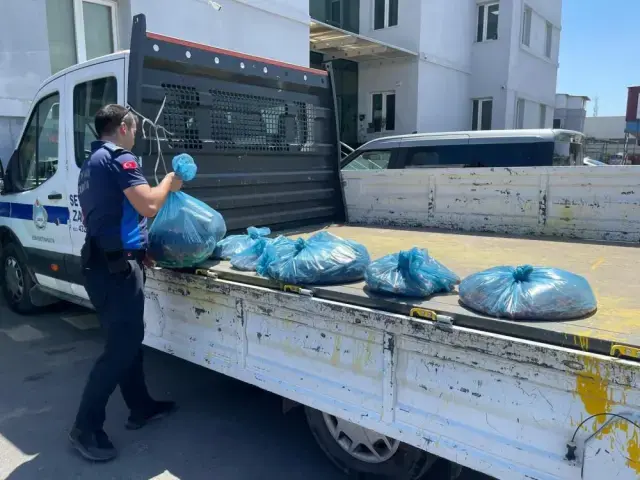 Böceklenmiş ürünlerin denetimi