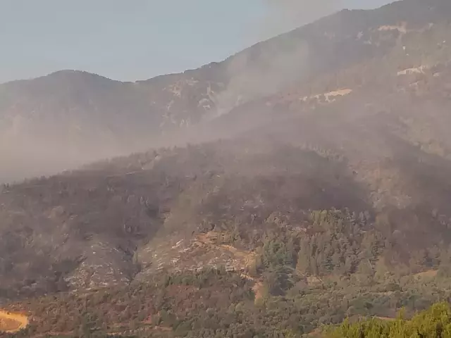 Hatay ve Mersin'de orman yangınları ikinci günde! Ekipler alevlerin arasında kaldı