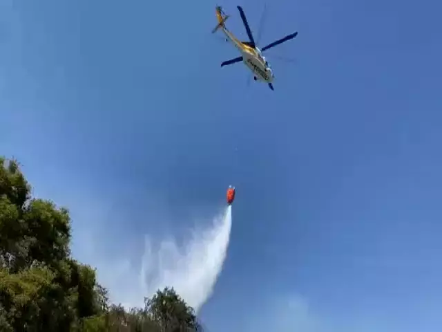 Fethiye'de orman yangını