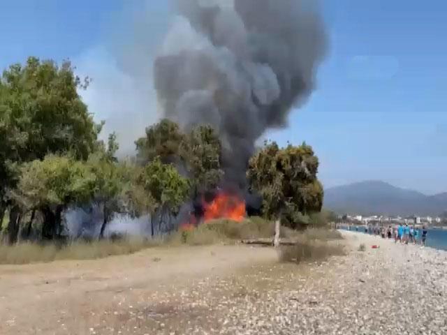 Fethiye'de orman yangını