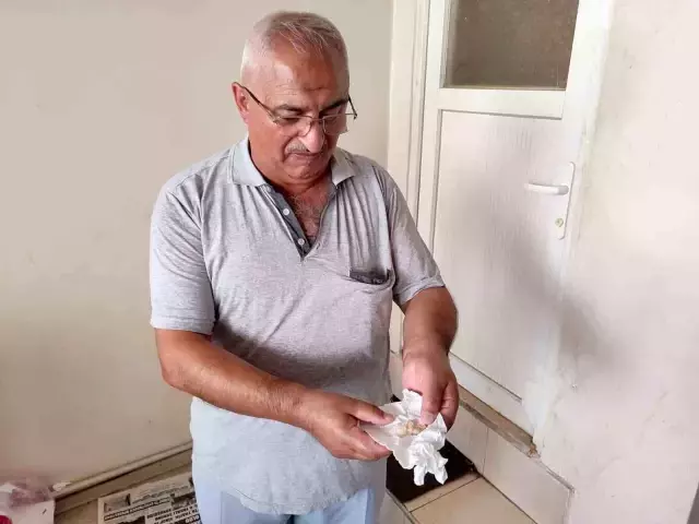Ekmekten vida çıktı