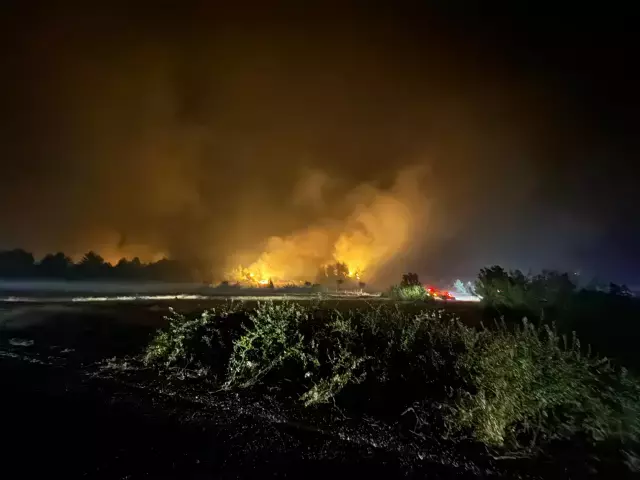 Karabük'te devam eden orman yangının çıkış nedeni belli oldu