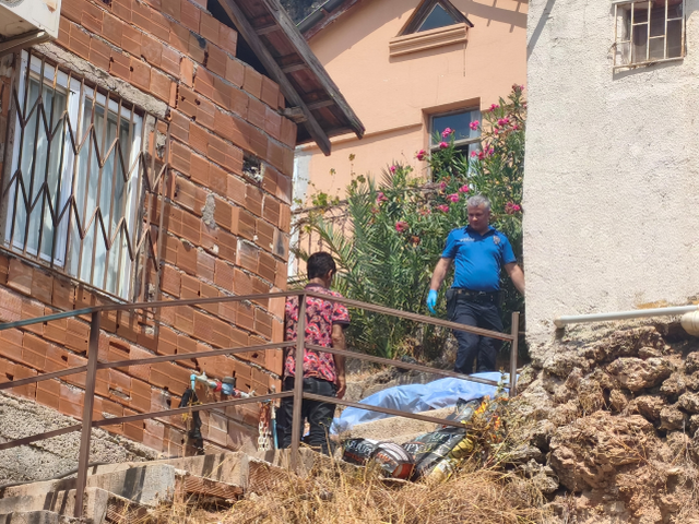 Gürültüyü 'mama kabı devrildi' zannettiler, acı gerçek sabah ortaya çıktı