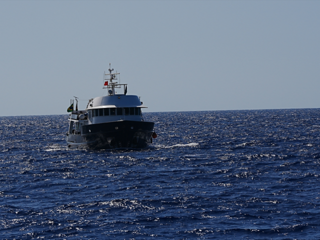 MSB: Gazze'ye giden Sumud Filosu'ndan 3'ü Türk 11 kişi tahliye edildi