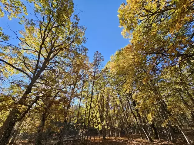 Dünyada bir tek Isparta'da var! İzinsiz girmenin cezası bir servet değerinde