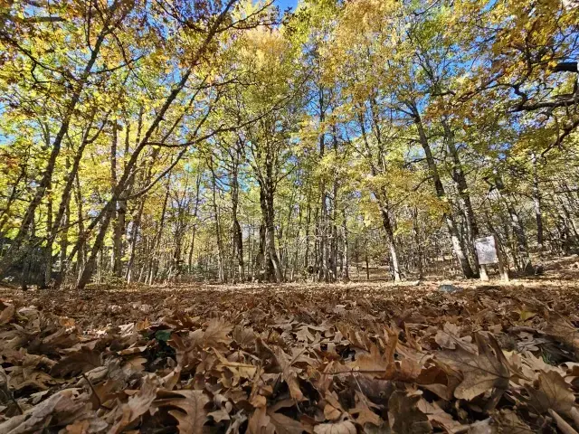 Dünyada bir tek Isparta'da var! İzinsiz girmenin cezası bir servet değerinde