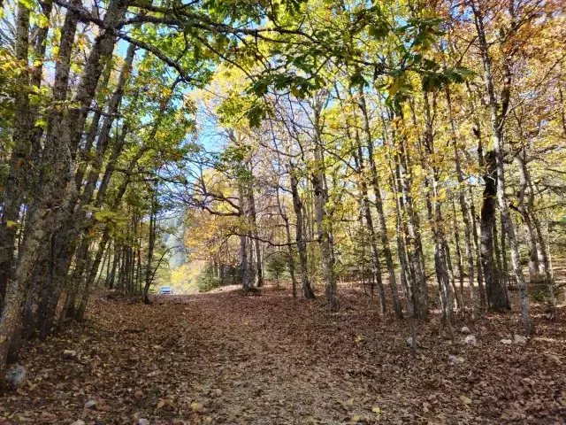 Dünyada bir tek Isparta'da var! İzinsiz girmenin cezası bir servet değerinde