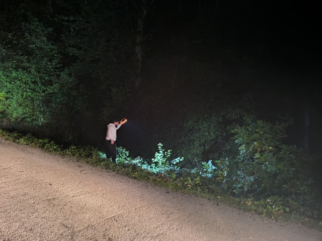 Mantar toplamak için evden çıkan anne ve oğlu sırra kadem bastı