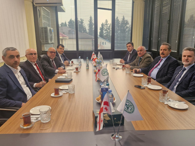 Türkiye-Gürcistan Dostluk Grubu Gürcistan'da resmi temaslarda bulundu