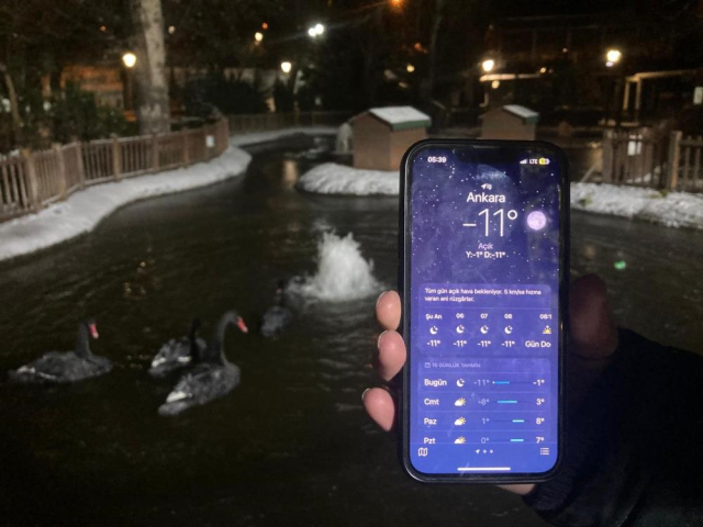 Soğuğu en iyi anlatan kare! Kuğulu Park havuzu dondu