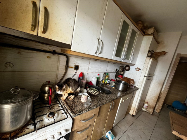 Kapı açılınca karşılaşılan manzara şoke etti