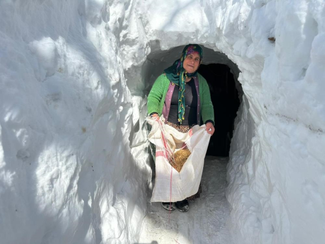 Görüntü Türkiye'den! kar kalınlığı metreleri aştı, evlere tünelden ulaşıyorlar