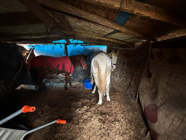 Sakarya'da çalılık alana hayvan kemiği attığı tespit edilen 2 şüpheli yakalandı