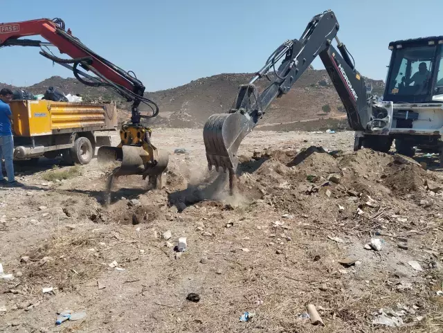 Bodrum'da ölü yunus sahile vurdu, turistler şok oldu