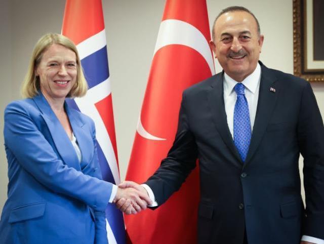 Norveçli bakanın duyurduğu anlaşma sosyal medyada gündem oldu: Türkiye'ye yalnızca kimlikle giriş yapabilecekler