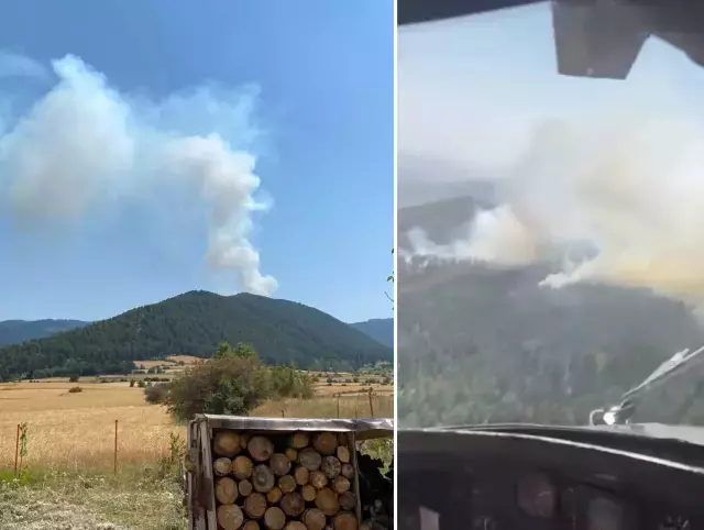 Çankırı orman yangını