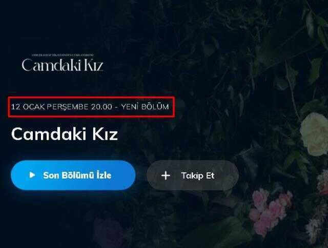 Camdaki Kız var mı, yok mu, neden yok? 5 Ocak bu akşam Camdaki Kız yeni bölüm neden yok? Camdaki Kız ara mı verdi?