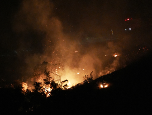 İzmir'de orman 2 gündür yanıyor