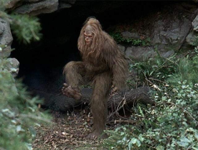 Gece yarısı ormana giren Youtuber'ın zor anları! Esrarengiz koca ayak karşısına çıktı