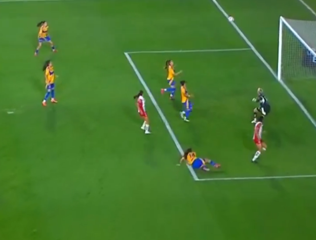 kadın futbolcudan Zlatan Ibrahimovic'i hatırlatan gol