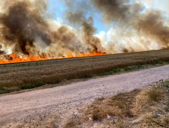 Son dakika haberleri... İstanbul Tekirdağ sınırında korkutan yangın: 500 dönüm buğday 15 dakikada küle döndü