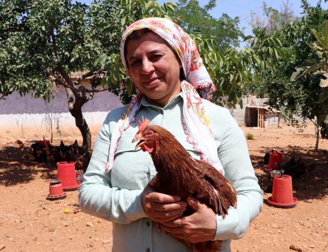 Çocuğu olmayan kadın, orman kurmak için tavuklarını satışa çıkardı
