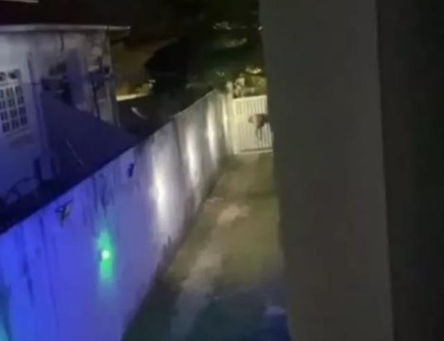 Kadın komşusuna tecavüz için cama kafa attığı evde şortunu sıyırdı, aşırı kan kaybedince öldü