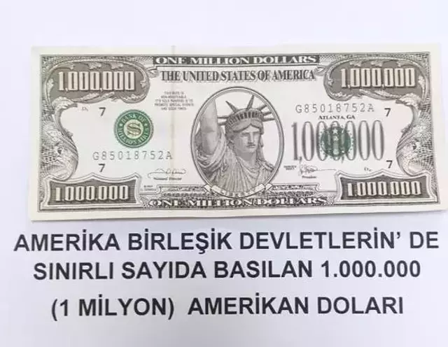 Ekipler bile şaşırıp kaldı! Van'da 1 milyon dolarlık banknot ele geçirildi