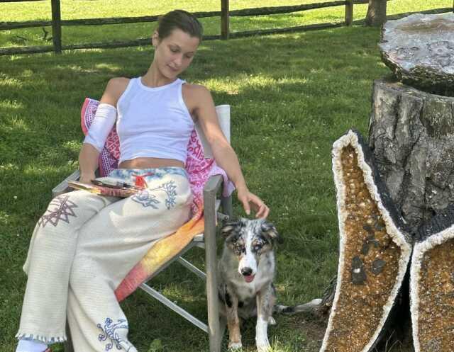 Bella Hadid Lyme hastalığı nedir? Lyme disease nedir, tedavisi var mı? Bella Hadid hastalığı nedir?