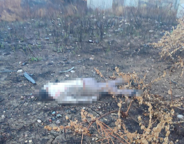 Mersin'de kaza yapan araç otoyolda, sürücüsü 30 metrelik köprünün altında ölü bulundu